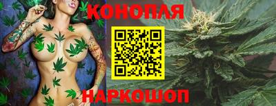 тгк Владивосток
