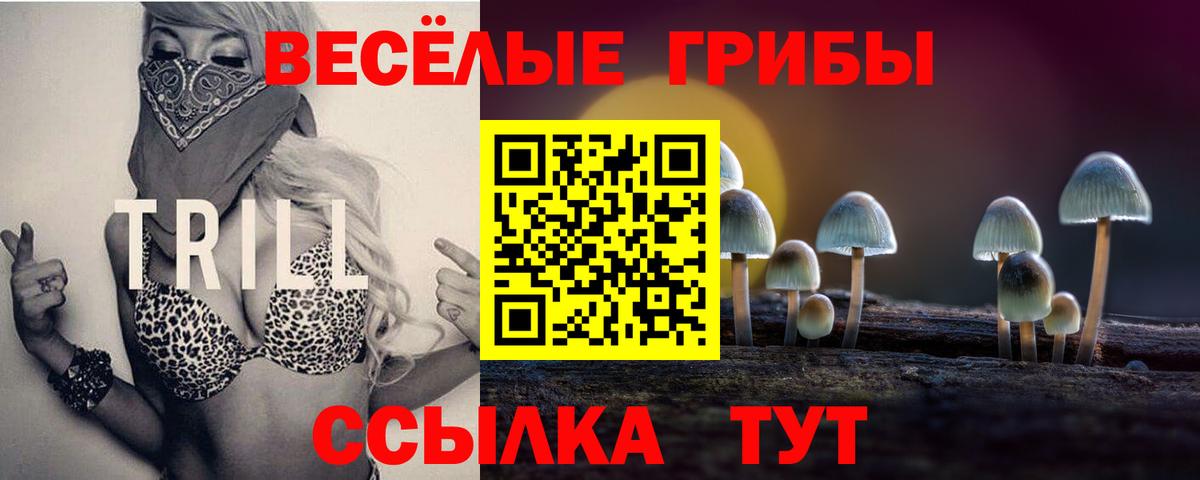 Псилоцибиновые грибы Magic Shrooms  Вход с VPN  Красноперекопск 